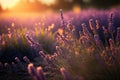 Lavender Field at Sunset, Purple Flowers, Morning Lavender Fields, Abstract Generative AI Illustration