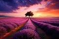 Lavender field at sunset in Valensole, Provence, France, Beautiful lavender field landscape view at sunset time, AI Generated Royalty Free Stock Photo
