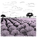 Lavender field tree sketch hand drawn in doodle style Vector illustration Royalty Free Stock Photo