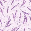 Lavender field vector seamless repeat pattern. Royalty Free Stock Photo