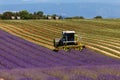 Lavender fields harvesting in valensole provence france landscape Royalty Free Stock Photo