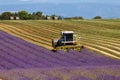 Lavender fields harvesting in valensole provence france landscape