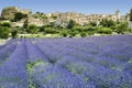 Lavender fields landscape hilltown provence france Royalty Free Stock Photo