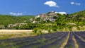 Lavender fields near Sault Royalty Free Stock Photo