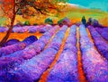 Lavender fields Royalty Free Stock Photo