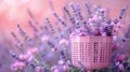 Lavender Fields: Panoramic Banner with Essential Oil Royalty Free Stock Photo