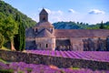 Lavender fields at Senanque monastery, Provence, France Royalty Free Stock Photo