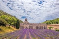 Lavender fields with Senanque monastery in Provence, Gordes, France Royalty Free Stock Photo