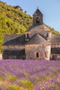 Lavender fields with Senanque monastery in Provence, Gordes, France