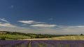 Lavender fields at Snowshill, Cotswolds England UK Royalty Free Stock Photo