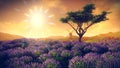 Lavender fields with solitary tree Royalty Free Stock Photo