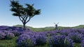 Lavender fields with a solitary tree 3d rendering Royalty Free Stock Photo