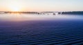 Lavender fields stretch in neat, parallel rows under a soft mist. The sun rises in the background, Royalty Free Stock Photo