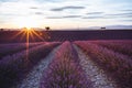 Lavender Fields in Valensole, Provence, France Royalty Free Stock Photo