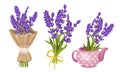 Lavender Floral Twigs Tied with Ribbon in Bunches and Put in Flowerpot Vector Set