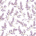 Lavender Floral Vector Pattern With Golden Branches On White Background