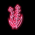 lavender flower aromatherapy neon glow icon illustration Royalty Free Stock Photo