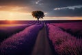 Lavender flower blooming fields in endless rows. Generative AI Art. Beautiful view Royalty Free Stock Photo