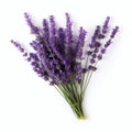 Lavender Flower Bouquet: Raynald Leclerc Inspired Minimalist Art