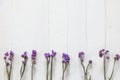 Lavender flower branch bundle dried white wood texture backdrop