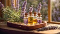 Lavender flower therapy oil fresh natural herbal fragrance aromatic health Royalty Free Stock Photo