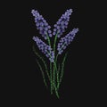 Lavender flower embroidered with purple and green stitches on black background. Gorgeous embroidery design with aromatic