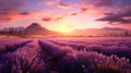 Lavender flower field in bloom at sunset. Rows of flowers. Golden hour. AI Generated Royalty Free Stock Photo