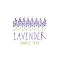 Lavender flower. Logo design. Text hand drawn.