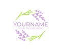 Lavender flower and plant, logo template. Beauty and natural cosmetic oil, circular vectorial design