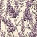 lavender flower rough hand drawn using violet ink seamless pattern Royalty Free Stock Photo