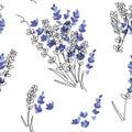 Lavender flower seamless vector pattern. One continuous line art drawing pattern with lavender Royalty Free Stock Photo