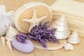 Lavender Flower Spa Royalty Free Stock Photo