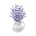 Lavender flower in a vase watercolor illustration. Hand painted lavandula in a white ceramic jug. Vintage style rustic