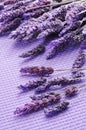 Lavender flowers Royalty Free Stock Photo