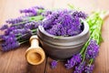 lavender flowers arranged in a wooden mortar with pestle