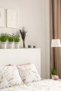Lavender flowers on bedhead above bed with pillows in bright bedroom interior with posters and lamp. Real photo Royalty Free Stock Photo