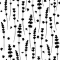 Lavender flowers black silhouettes seamless pattern on white background Royalty Free Stock Photo