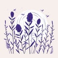 Romantic Lavender Plant Vector Illustration With Organic Shapes