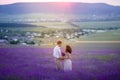 Lavender flowers blooming field and two trees uphill. Valensole, Provence, France, Europe. Royalty Free Stock Photo