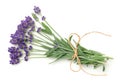 Lavender Flowers Bunch Isolated On White Background Royalty Free Stock Photo