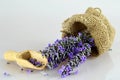 Lavender flowers in the burlap bag Royalty Free Stock Photo