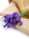Lavender flowers on the burlap Royalty Free Stock Photo
