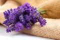 Lavender flowers on the burlap Royalty Free Stock Photo