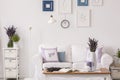 Lavender flowers on cabinet next to lamp and white sofa in living room interior with table and posters. Real photo Royalty Free Stock Photo