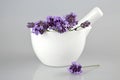 Lavender flowers in a ceramic mortar