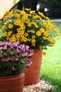 Lavender and flowers in the cheramic flowerpot Royalty Free Stock Photo