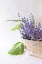 Lavender flowers in a craft paper bag