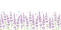 Lavender flowers frame border seamless pattern. Royalty Free Stock Photo