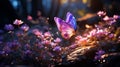 lavender flowers and graceful butterflies