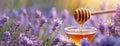 Lavender flowers with a honey dipper drizzling honey into a glass cup. Panorama with copy space.